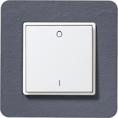 Schalter 2-Kanal Licht Berker Q7